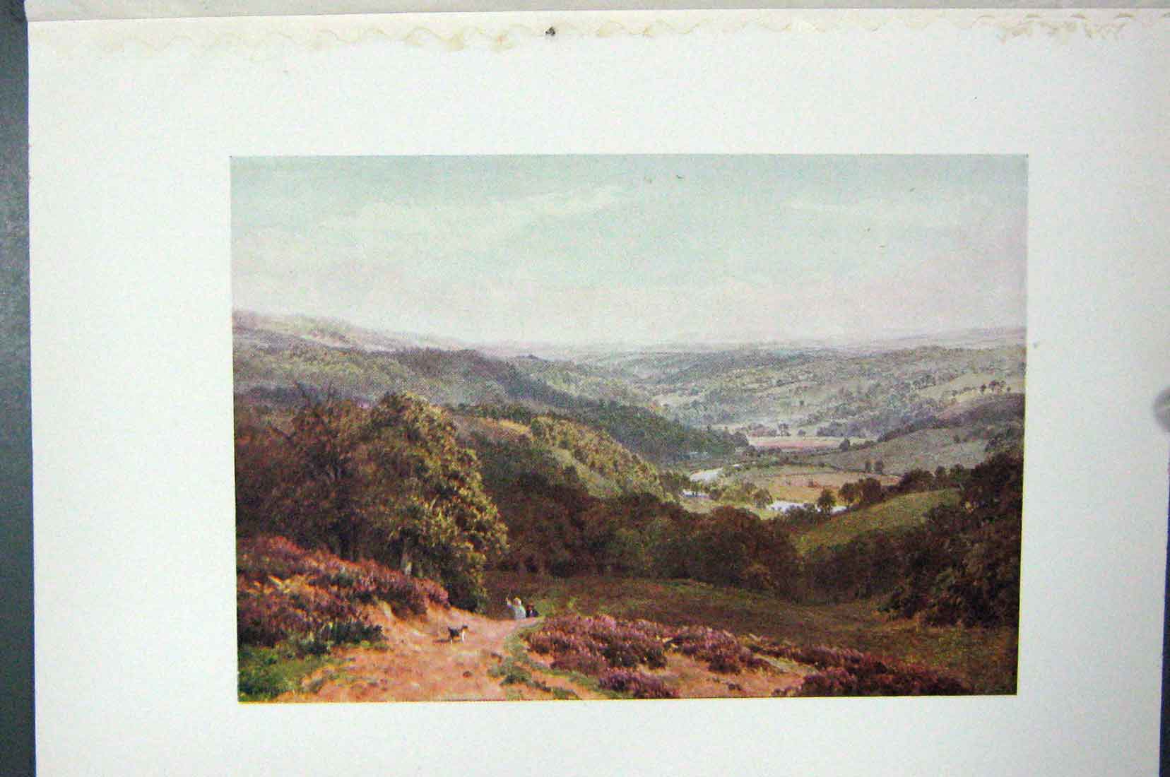 Original Old Vintage Print Colour C1920 Vale Albury Martha'S Hill England 20th