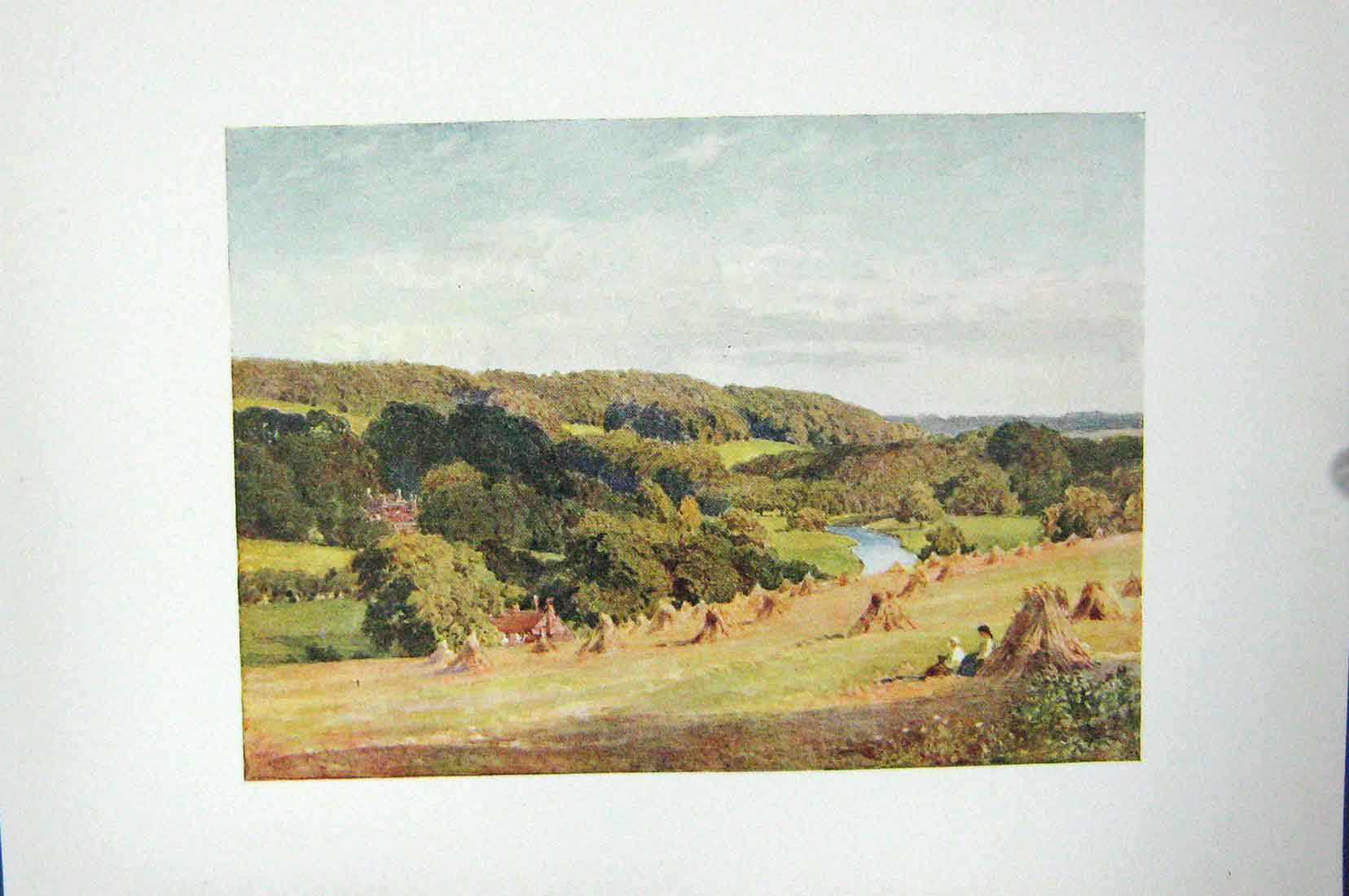 Original Old Vintage Print Colour C1920 Valley Chess Bucks England Farming 20th