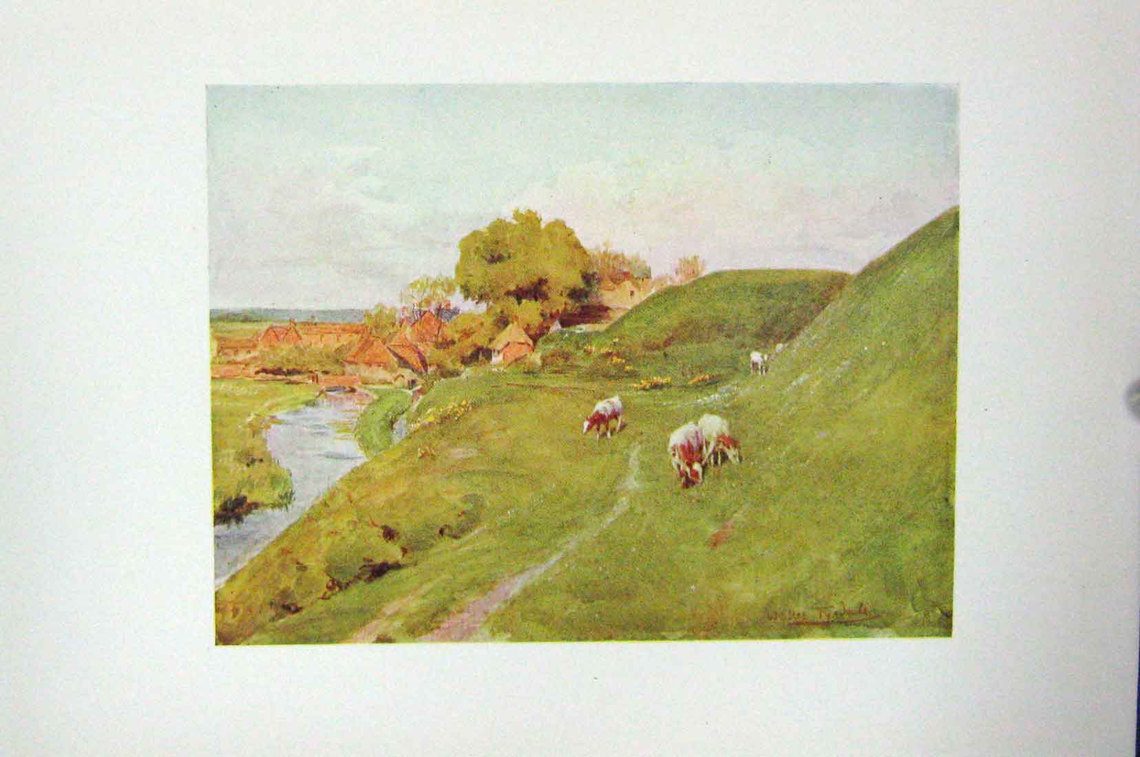 Original Old Vintage Print Colour C1920 View Walls Wareham England Houses 20th