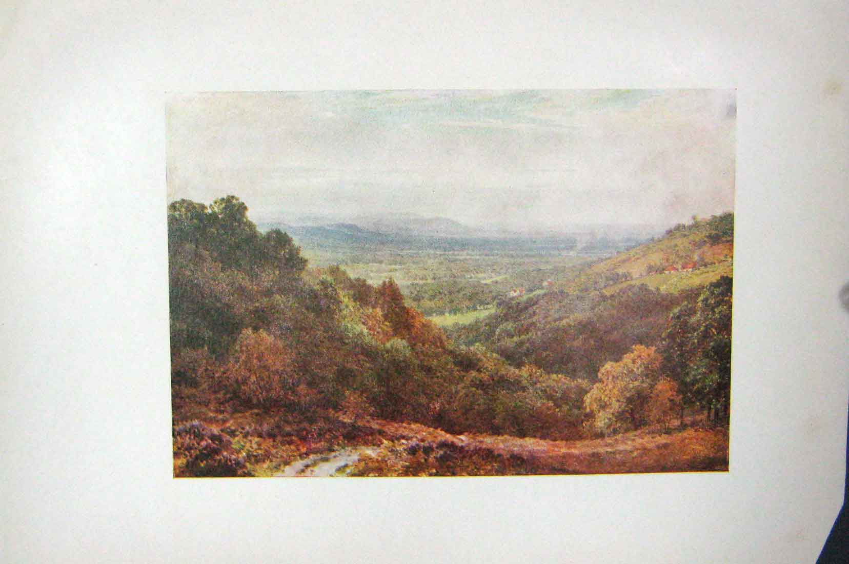 Original Old Vintage Print Colour C1920 View Gibbet Hindhead England 20th