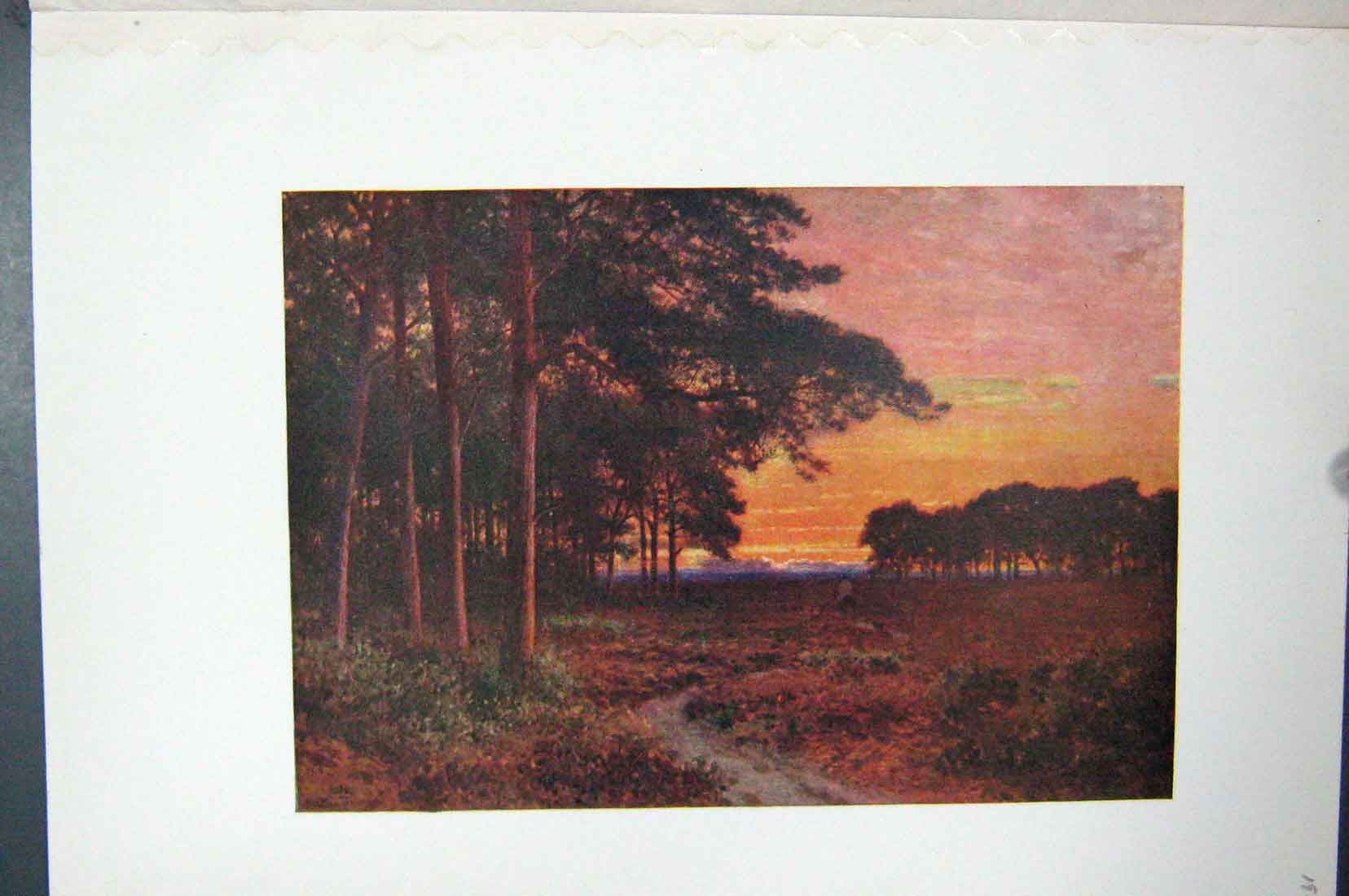 Original Old Vintage Print Colour C1920 Evening Scene Moord Hindhead 20th