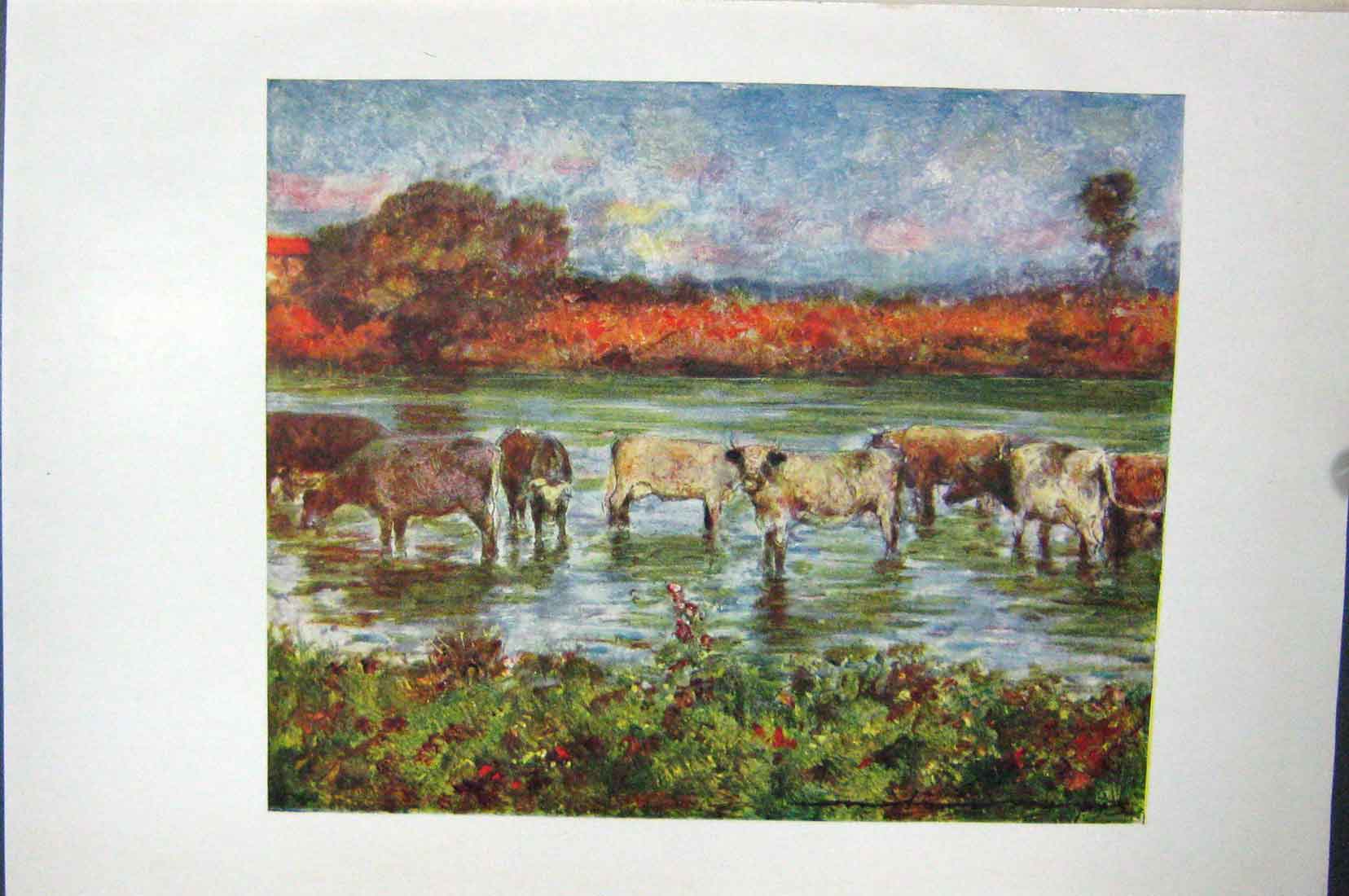 Original Old Vintage Print Colour C1920 Bridge Sutton Courtney Cows River 20th
