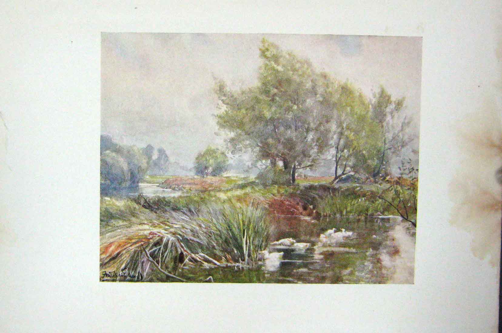 Original Old Vintage Print Colour C1920 River Avon Statford-On-Avon England