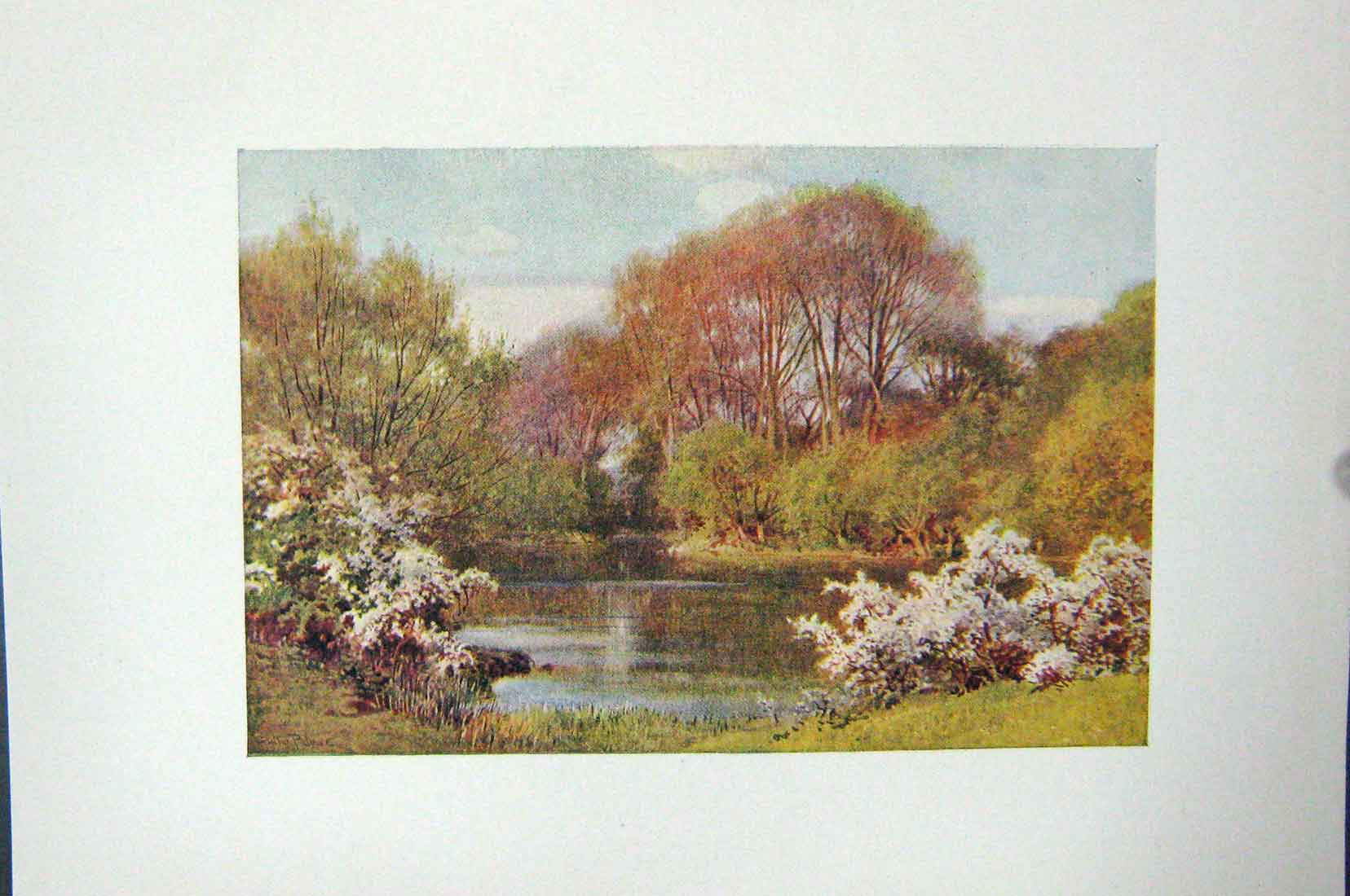 Original Old Vintage Print Colour C1920 View Sutton Courtney Berks England 20th