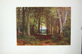 Original Old Vintage Print Colour C1920 Deer-Leap Wood Wotton Trees Forest 20th