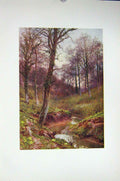 Original Old Vintage Print Colour C1920 Scene Evening Solitude Ockley Stream
