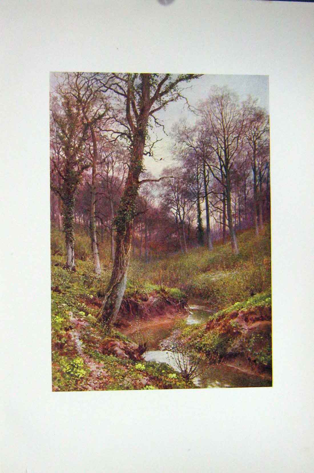 Original Old Vintage Print Colour C1920 Scene Evening Solitude Ockley Stream