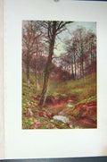 Original Old Vintage Print Colour C1920 Evening Solitude Ockley Countryside