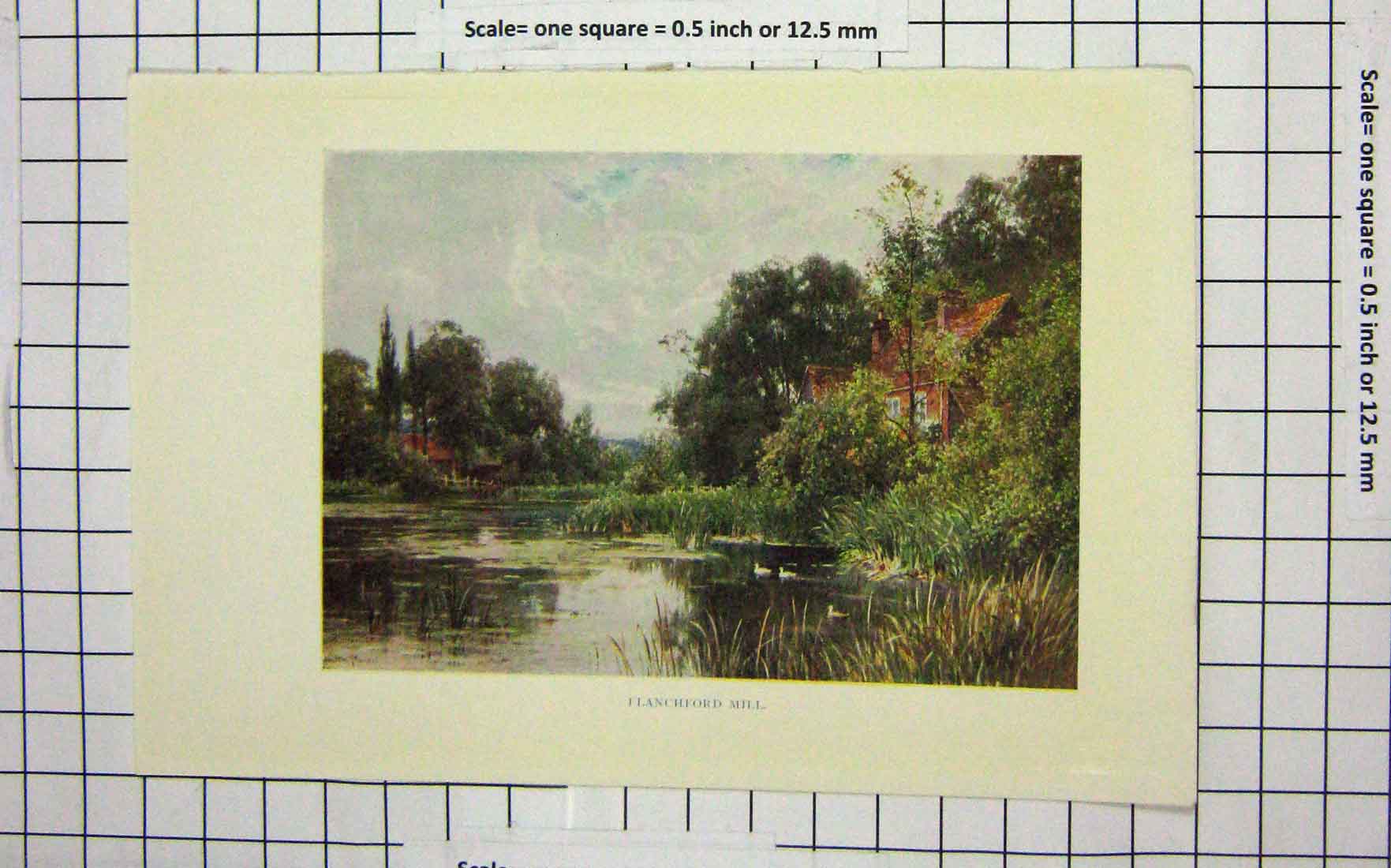 Original Old Antique Print Colour View Flanchford Mill River Trees