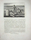 Original Old Antique Print Plan Ludlow Castle Grounds