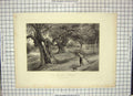 Original Old Antique Print Engraving View Burnham Beeches Trees Willmore Foster