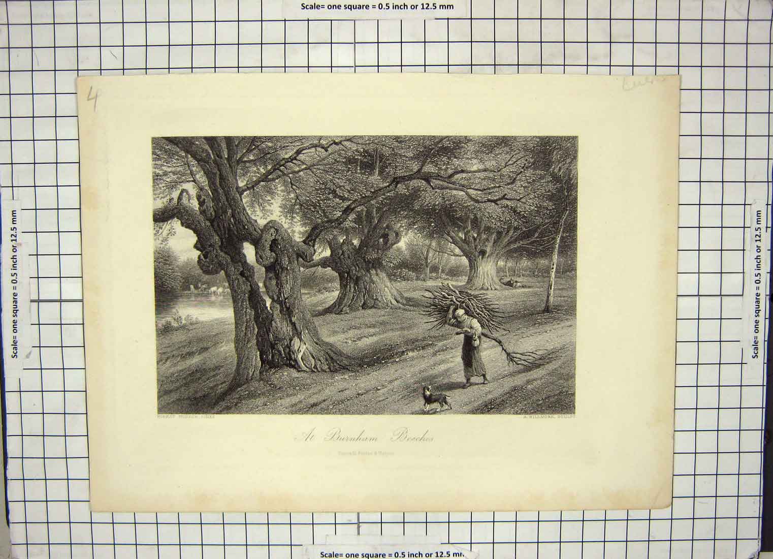Original Old Antique Print Engraving View Burnham Beeches Trees Willmore Foster