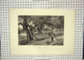 Antique Print Ref.939 Engraving View Burnham Beeches Trees Willmore Foster