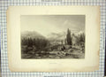 Original Old Antique Print View Thyatira Mountains Trees Camels Willmore Allom