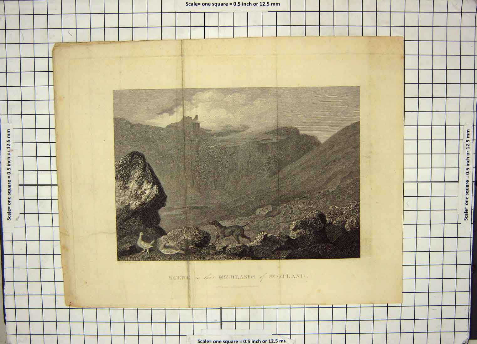 Original Old Antique Print Scene Highlands Scotland Dog Birds