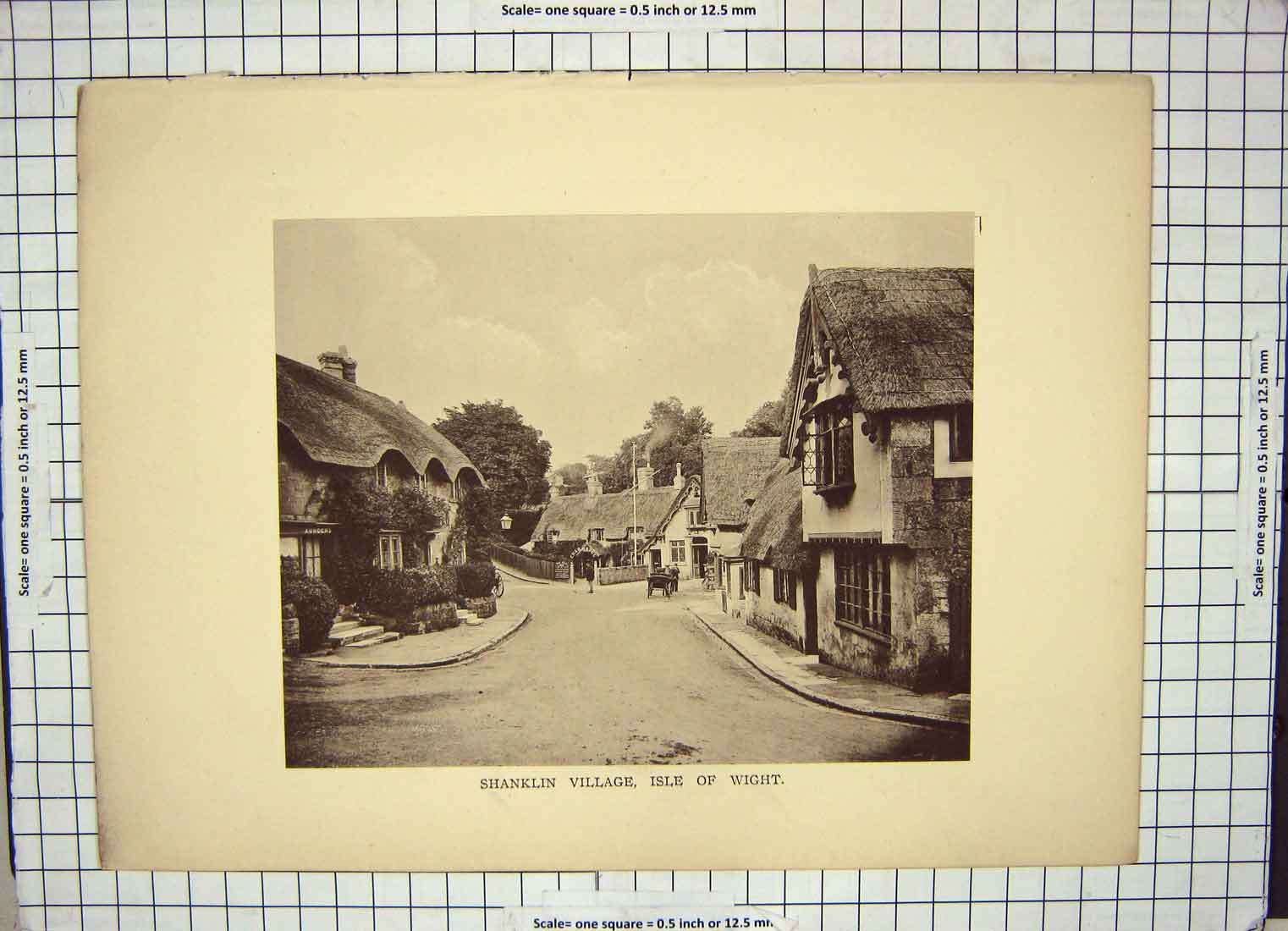 Original Old Antique Print Photograph Shanklin Village Isle Wight Houses