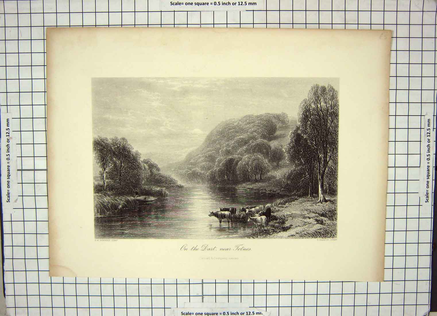 Original Old Antique Print Engraving Heawood River Dart Totnes Cattle Trees