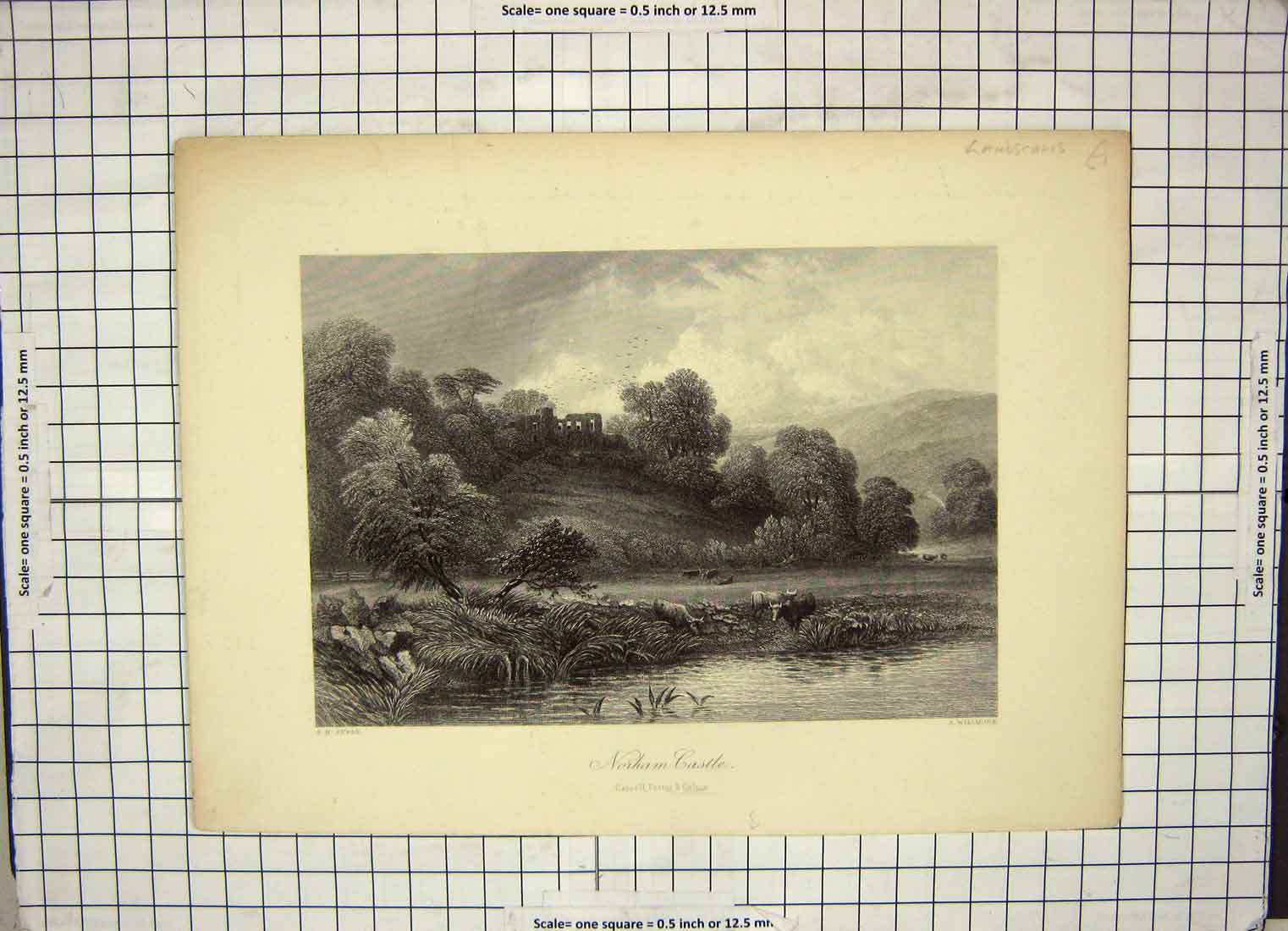 Original Old Antique Print Engraving Willmore Kewan View Norham Castle Cattle