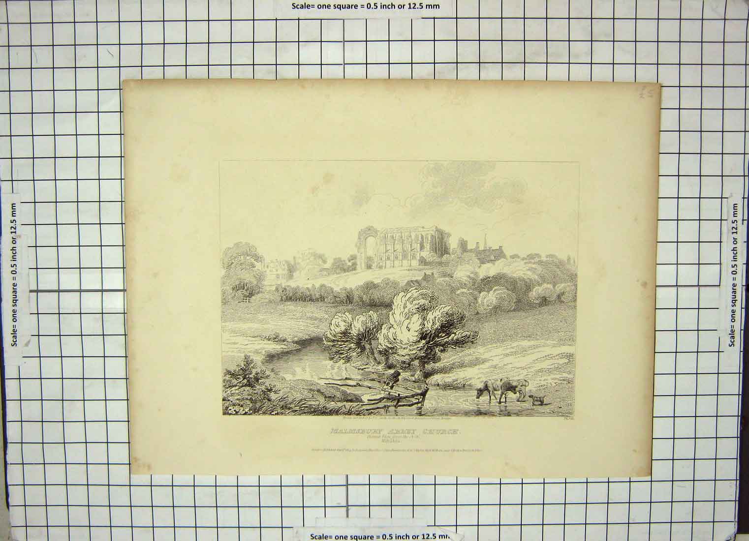 Old Antique Print 1807 View Malmsbury Abbey Church Wiltshire Architecture 19th