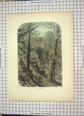 Original Old Antique Print Colour Cathedral Architecture Library Window