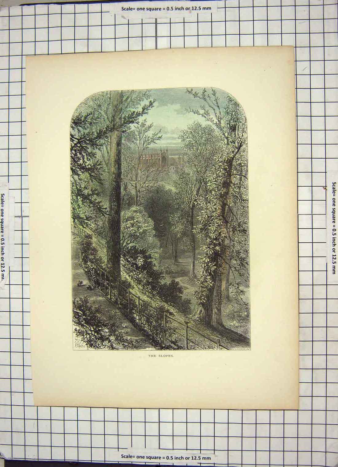 Original Old Antique Print Colour Cathedral Architecture Library Window