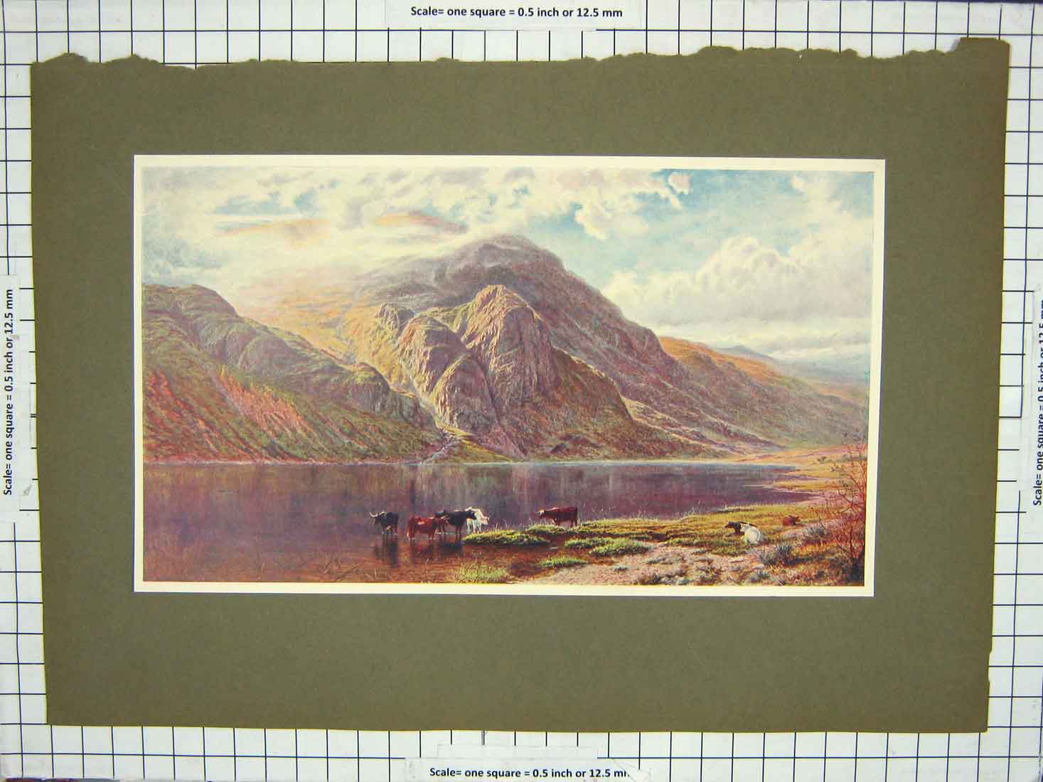 Original Old Antique Print Colour Mountains Lake Cattle