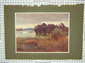 Original Old Antique Print Colour Birds Trees Mountains River