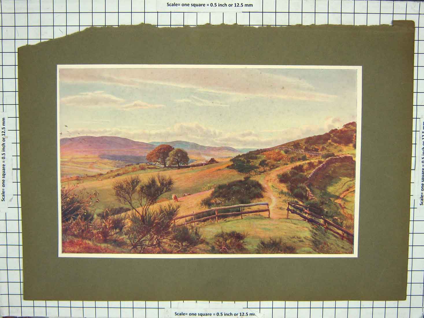 Original Old Antique Print Colour Mountains Countryside Trees Fields