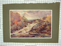 Original Old Antique Print Colour River Waterfall Rocks Trees