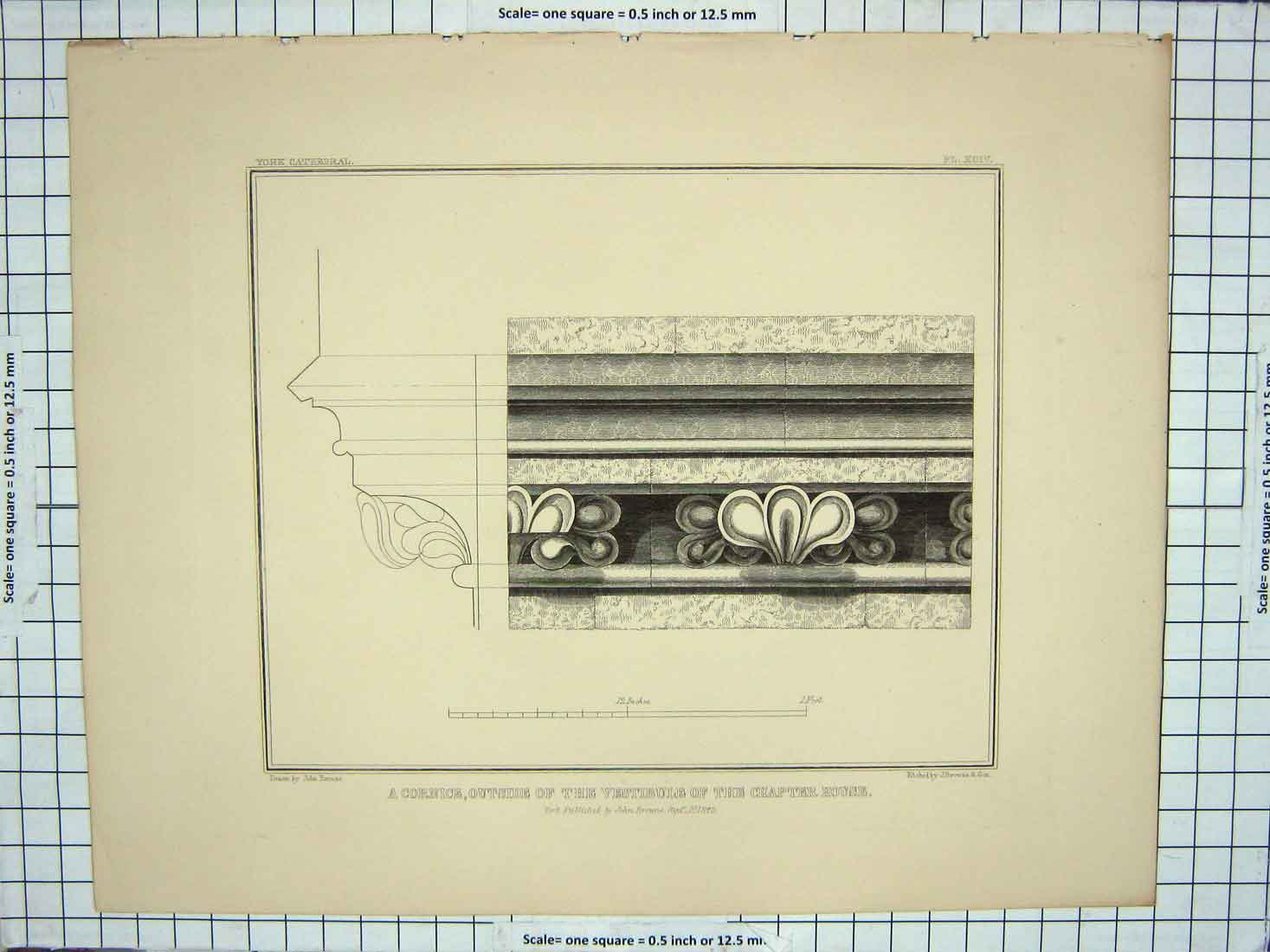 Original Old Antique Print 1842 Cornice Vestibule Chapter House John Browne