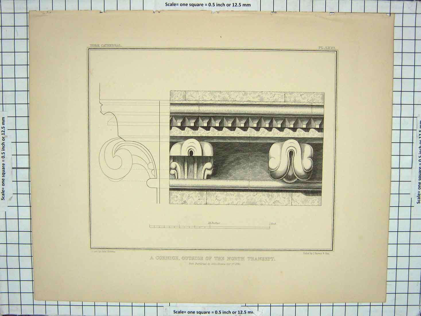 Original Old Antique Print 1841 Cornice North Transpet Architecture John Browne