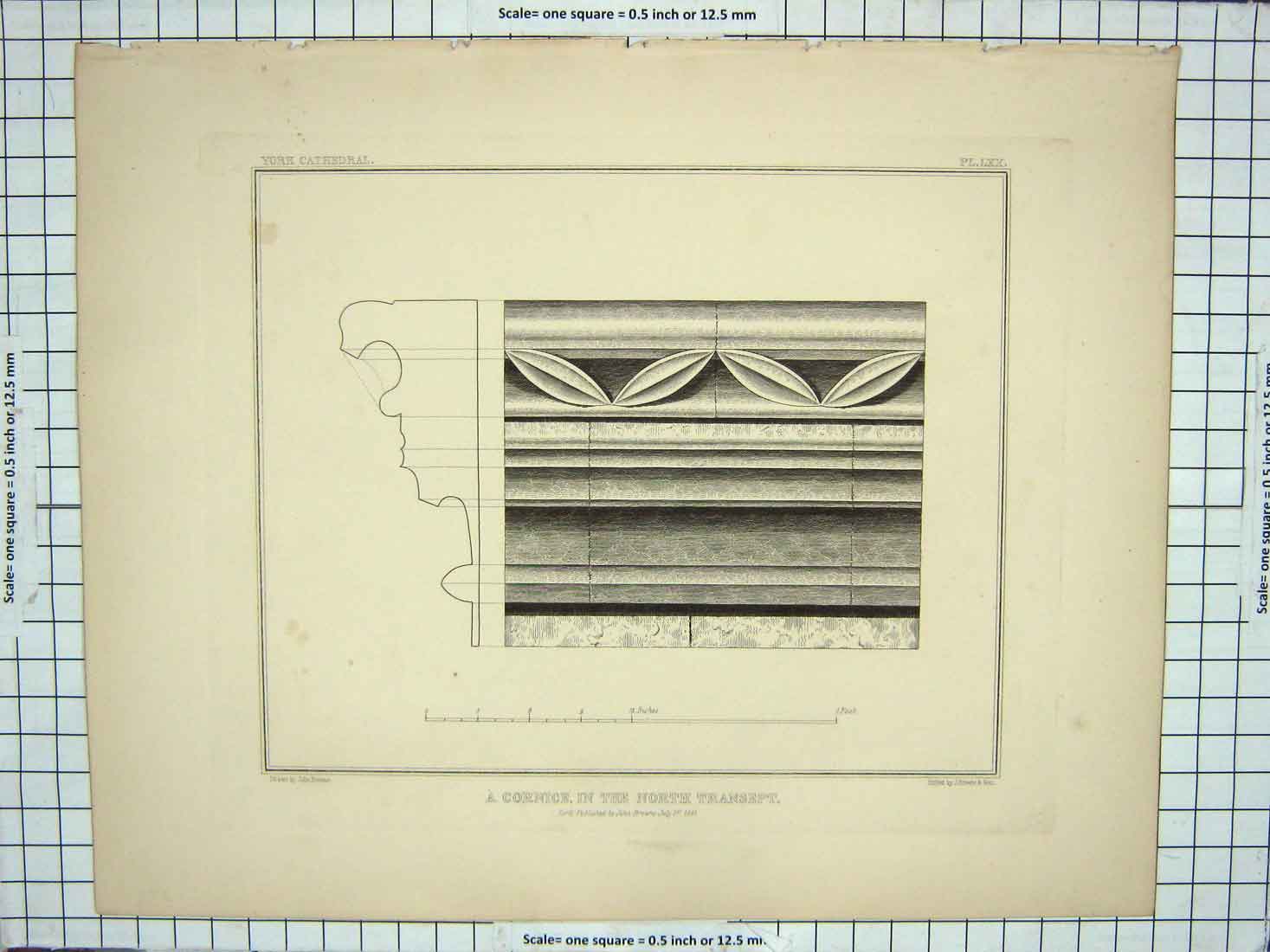 Original Old Antique Print 1841 Cornice North Transept Architecture John Browne