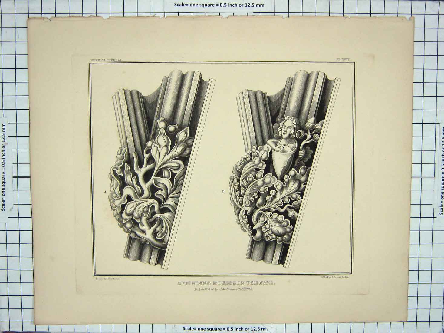 Original Old Antique Print 1842 Springing Bosses Nave Architecture John Browne