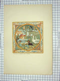 Original Old Antique Print Triplets Colour Little Boy Farm Animals Cats Dogs