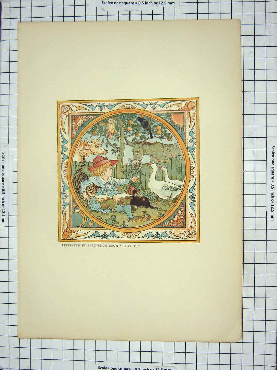 Original Old Antique Print Triplets Colour Little Boy Farm Animals Cats Dogs