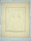 Original Old Antique Print 1840 Profile Bases Capitals Transepts Architecture