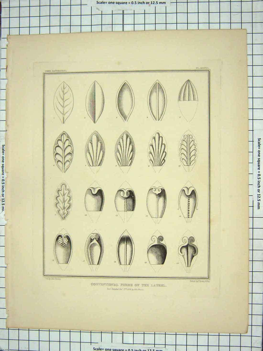 Old Antique Print 1839 Conventional Forms Laurel Architecture John Browne 19th