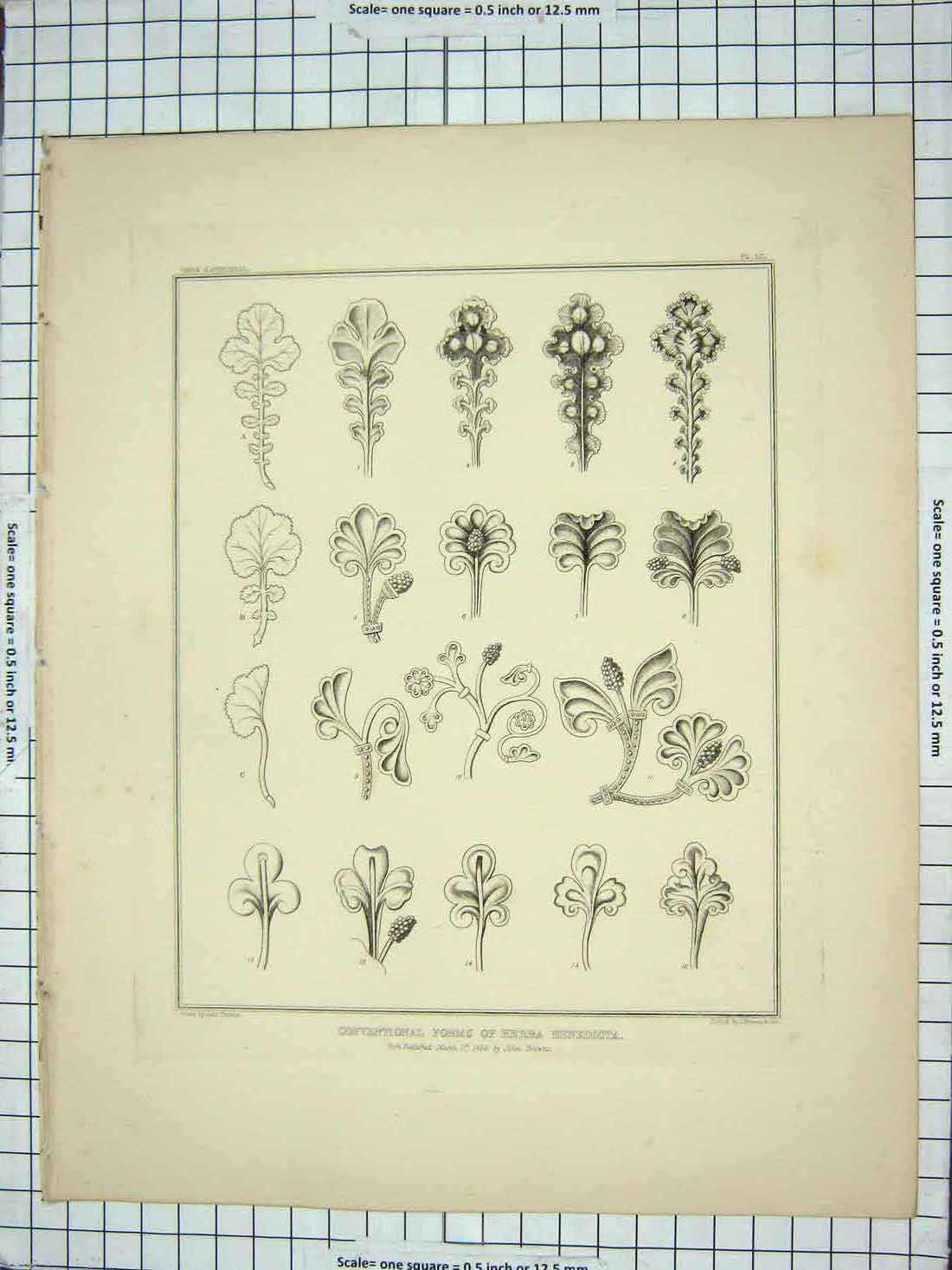 Old Antique Print 1839 Conventional Herba Benedicta Architecture Browne 19th