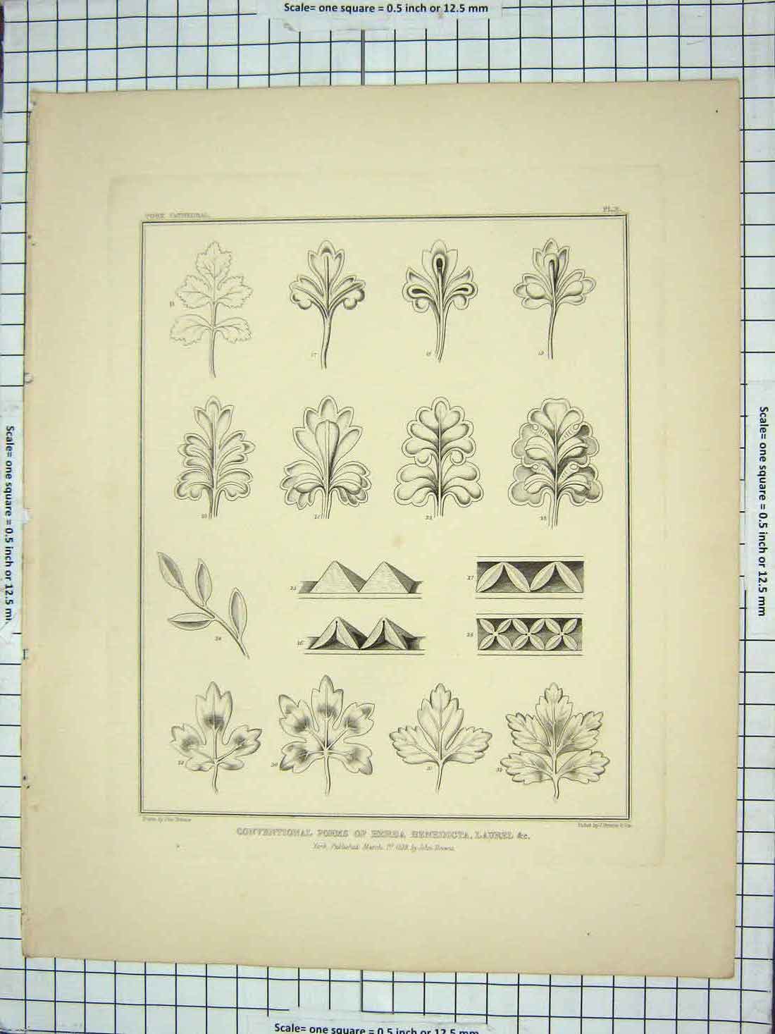 Old Antique Print 1839 Conventional Forms Herba Benedicta Laurel Browne 19th