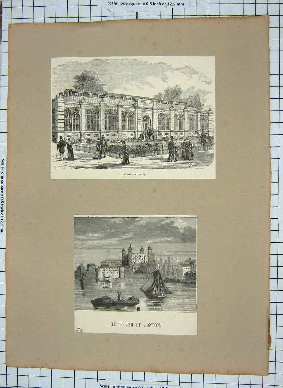 Old Antique Print Tower London River Thames Boats Monkey House Engraving