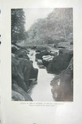 Original Old Vintage Print 1919 Gully Wharfe Bolton Strid Rupestral Plants 20th