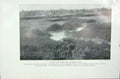 Original Old Vintage Print 1919 Heathland Common Furze Heath Heather Plants