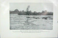 Original Old Vintage Print 1919 Broad Shallow Lagoon Aquatic Vegetation Leaf
