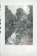 Old Vintage Print 1919 Photograph Duckweed Plants House Trees Lemna Minor 20th