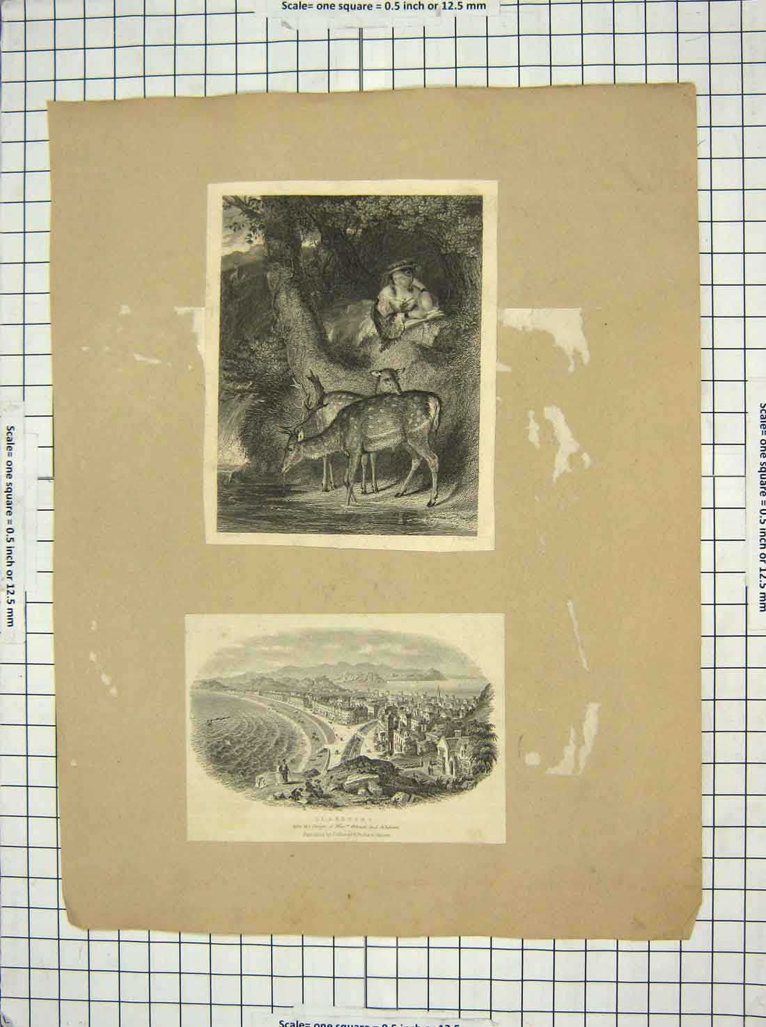 Original Old Antique Print Engraving Deer Llandudno Wales Ashdown