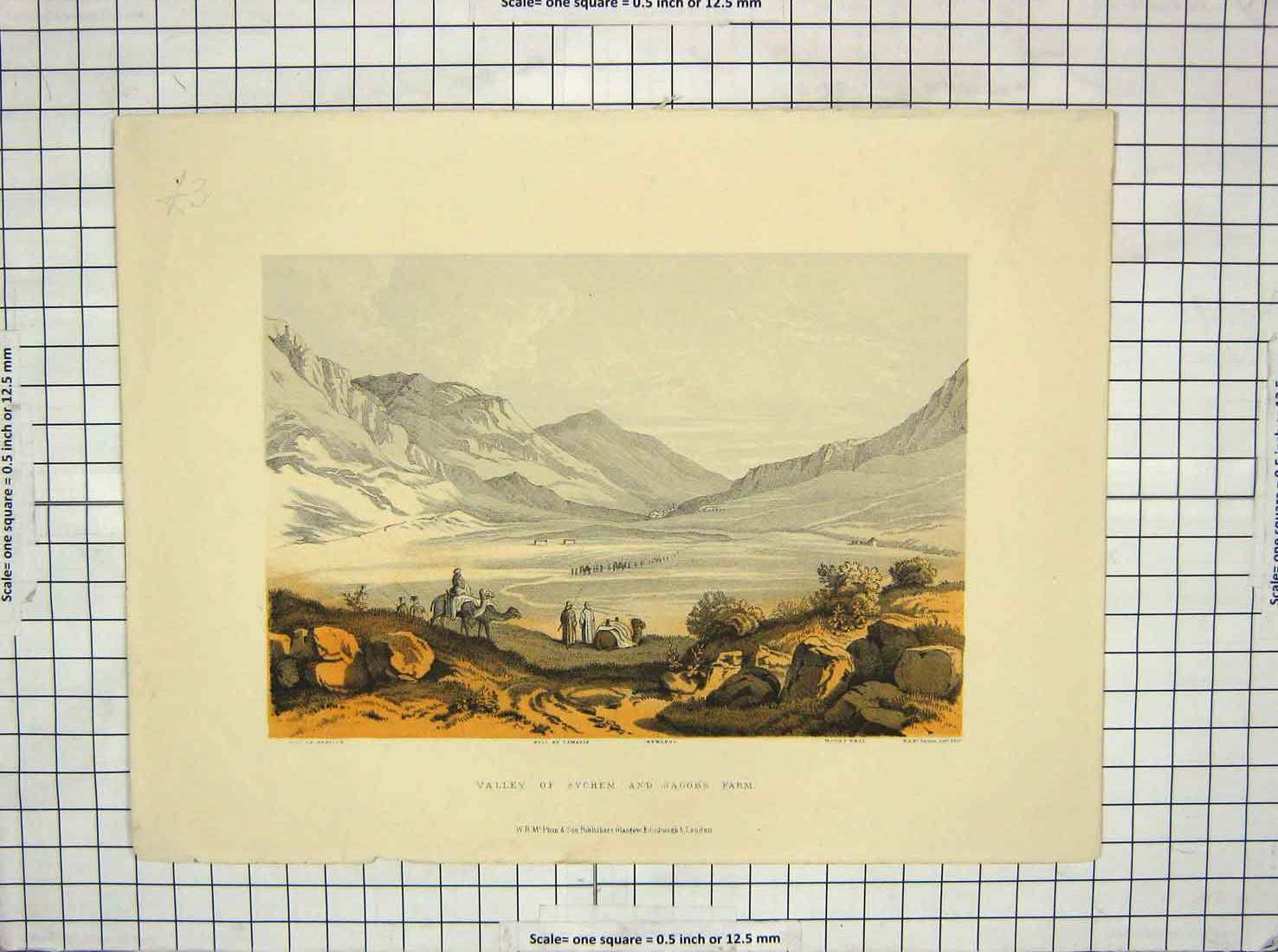 Original Old Antique Print Valley Sychem Jacobs Farm Well Samria Mountains Ebal