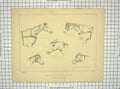 Original Old Antique Print Bandaging Bronchotomy Horse Poll-Evil Shangles