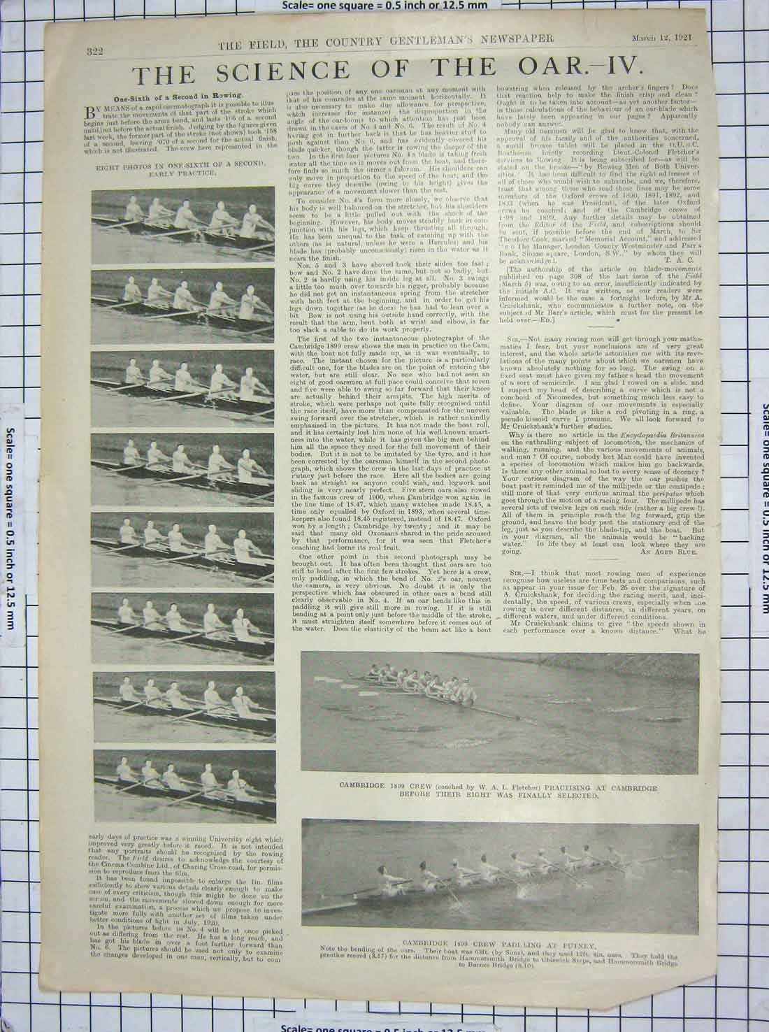 Original Old Vintage Print 1921 Cambridge Boat Race Crew Sport Horse Preston