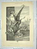 Original Old Antique Print Les Mois Fleuris Dead Birds Rabbit Hunting