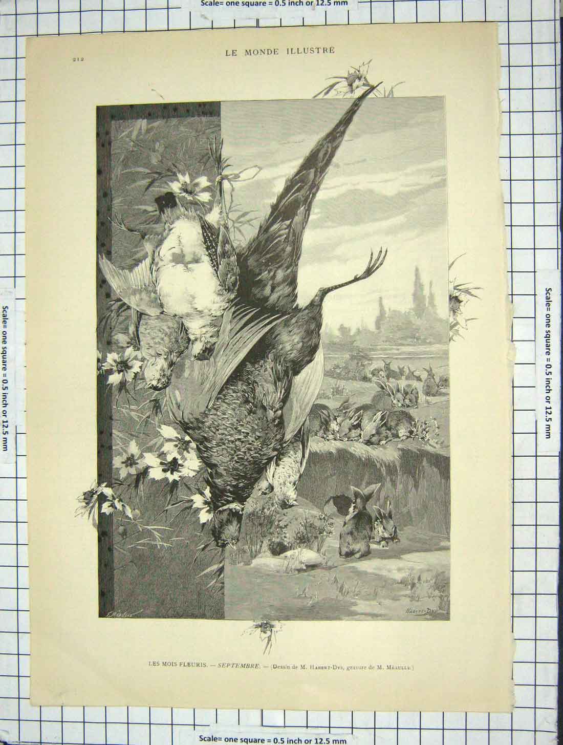 Original Old Antique Print Les Mois Fleuris Dead Birds Rabbit Hunting